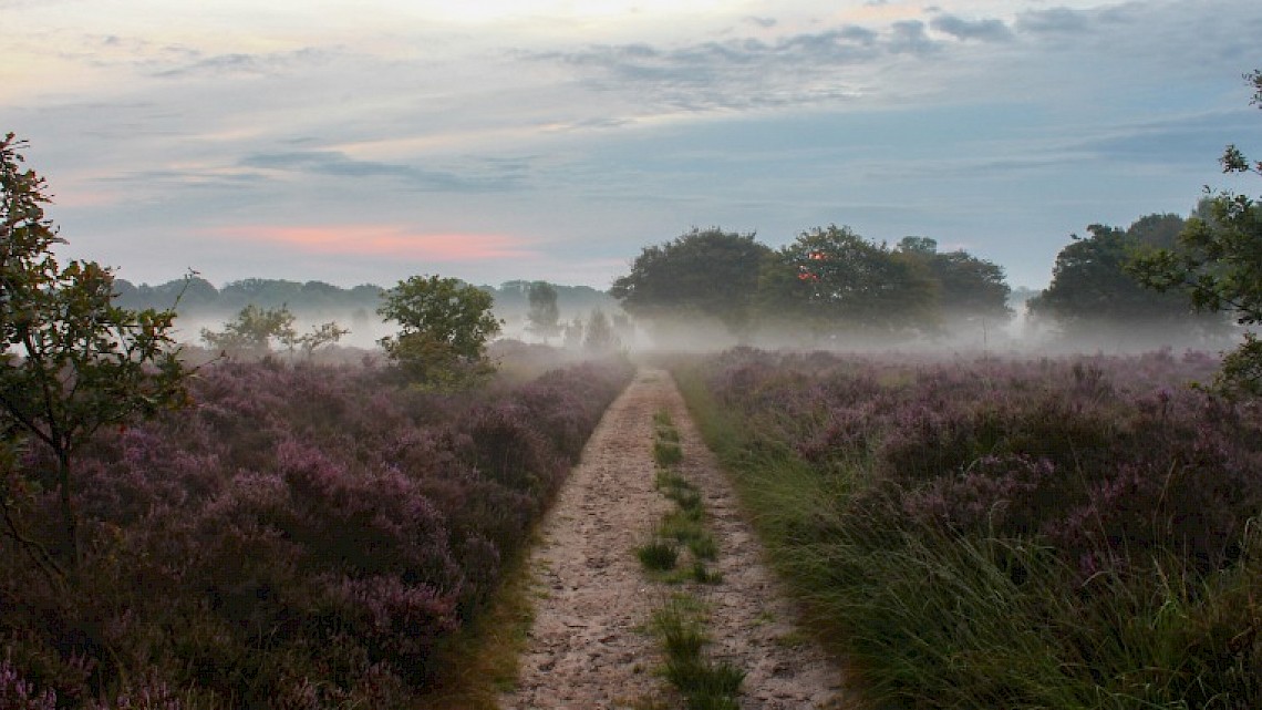 De Koningsbelt op de Sallandse Heuvelrug