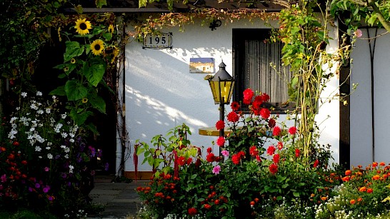 tuin in september