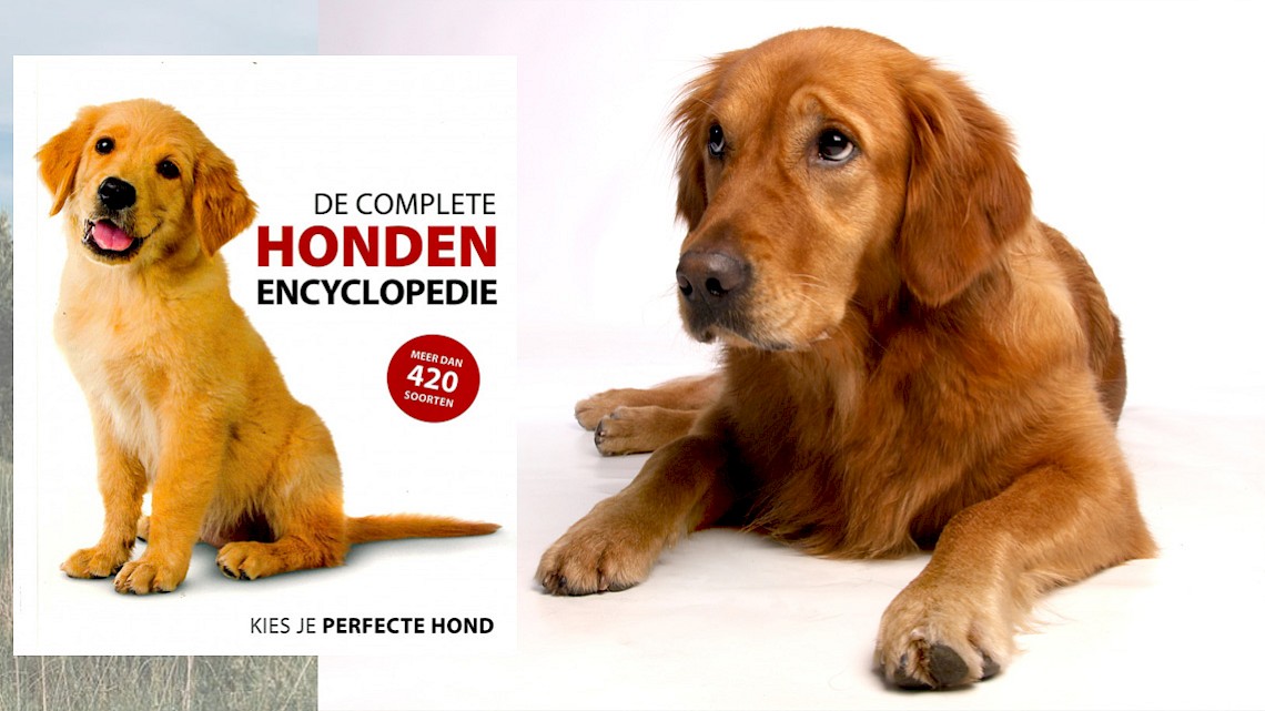De Complete Hondenencyclopedie