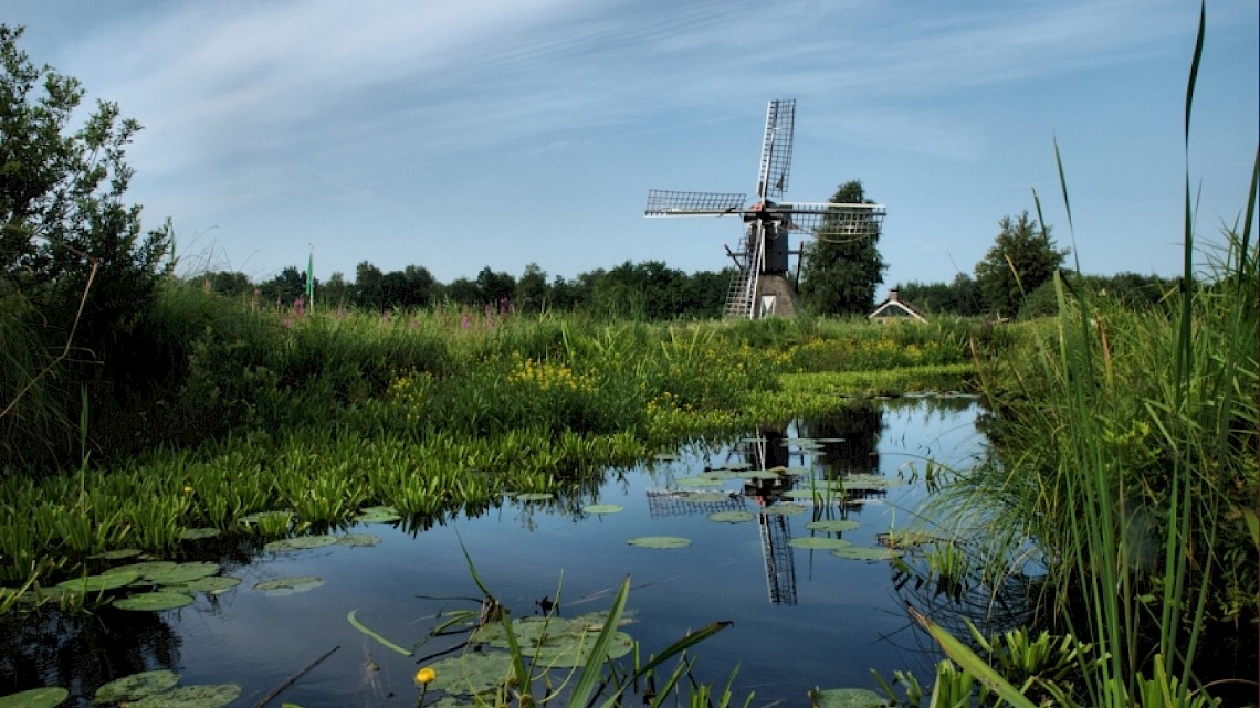 Varen door het moeras - Weerribben