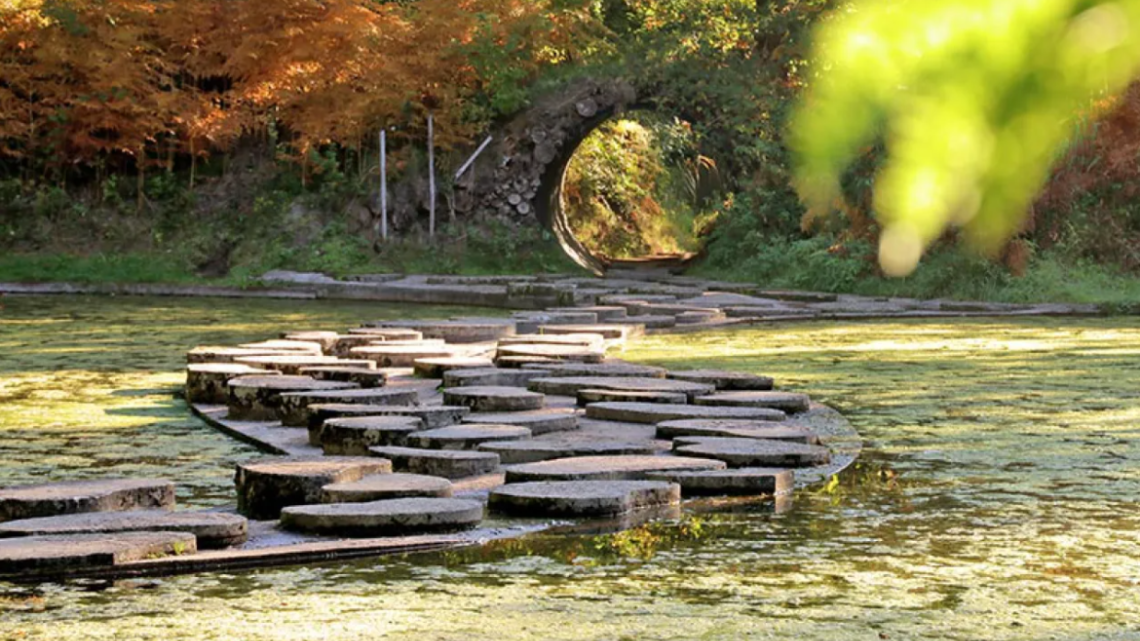 Excursie: Waterpark het Lankheet