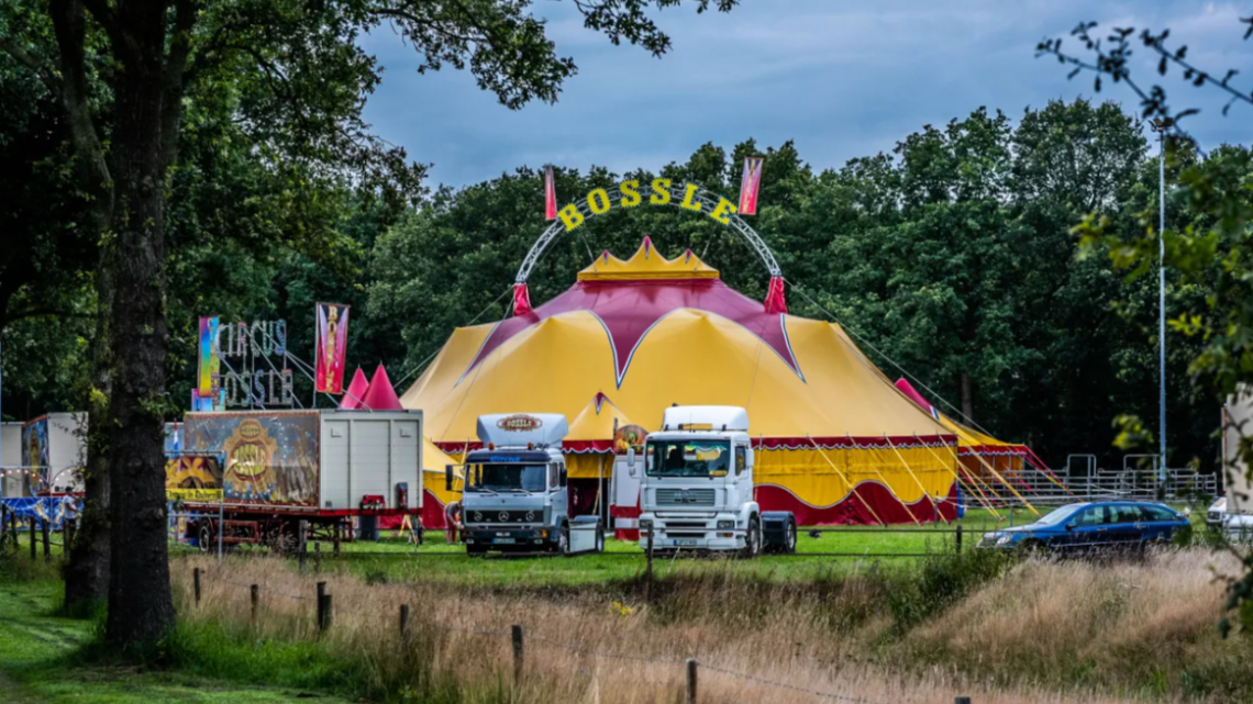 Circus Bossle