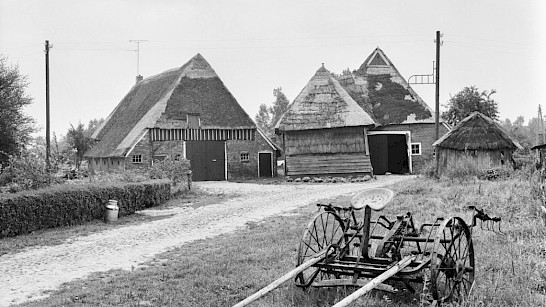 Bruntingerhof Orvelte oudste boerderij