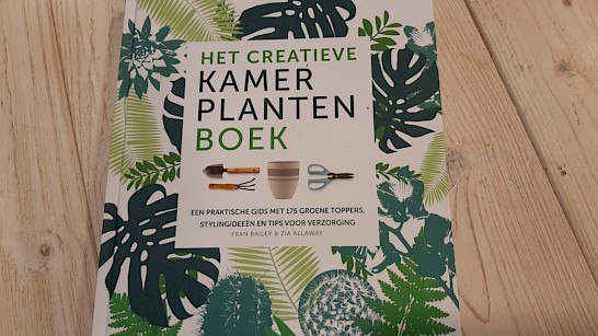 Creatieve kamerplantenboek