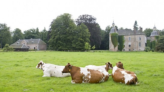 Kasteel Hackfort in Vorden
