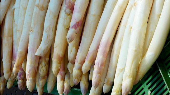 Asperges, het witte goud