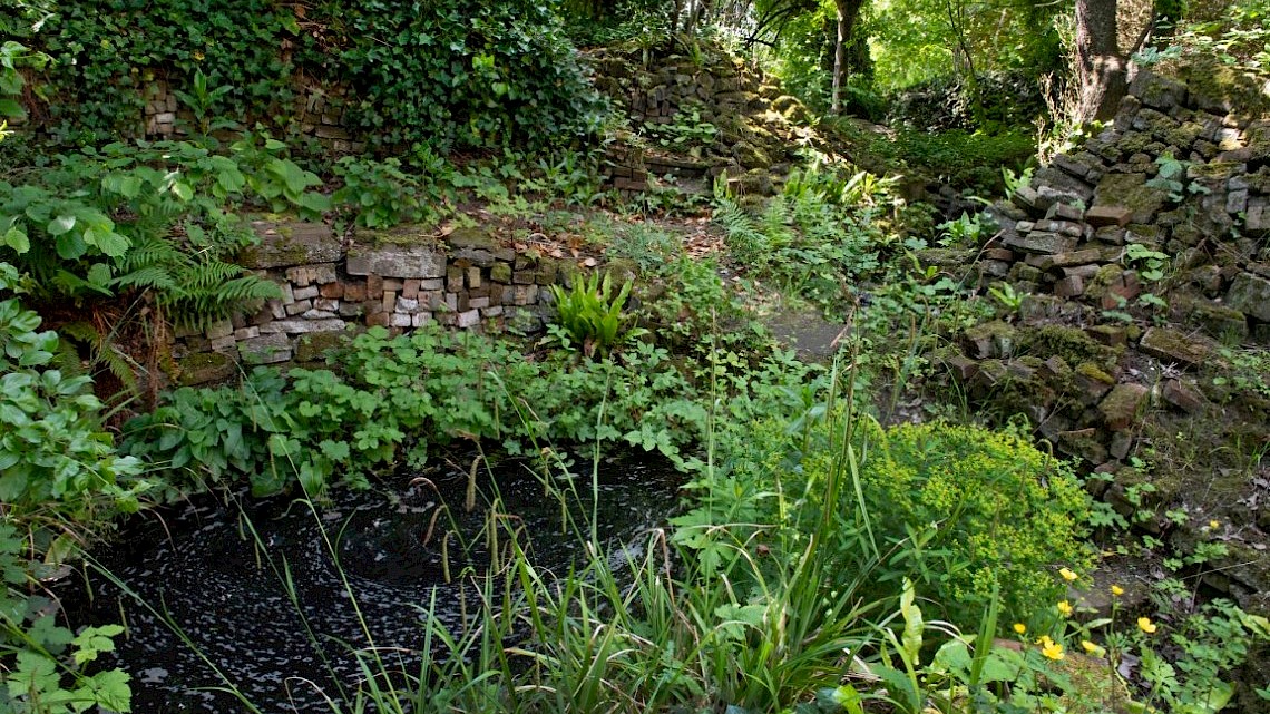 tuin van Sjef van der Molen