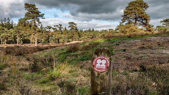 paardrijden op de Borkeld
